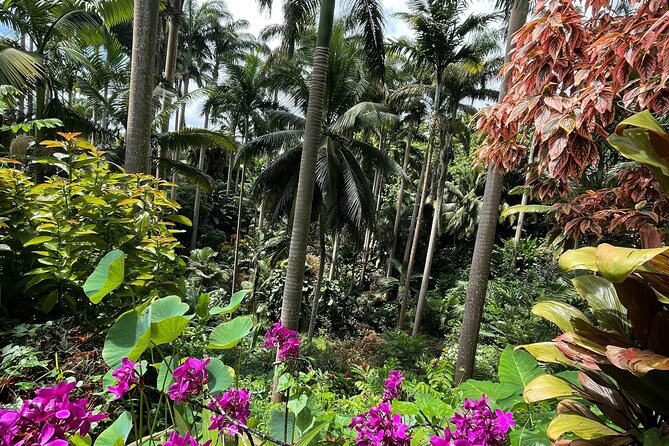 Welchman Hall Gully, Hunte’s Garden and Peg Farm Family Day - Weather, timing, and small practical choices