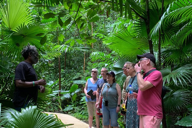 Welchman Hall Gully, Hunte’s Garden and Peg Farm Family Day - Welchman Hall Gully and the search for green monkeys