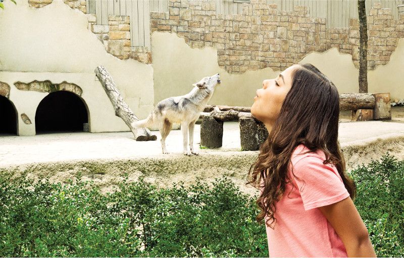 Williamsburg: Busch Gardens Ticket & Water Country Option - Six countries, nine villages, and a slower pace between rides