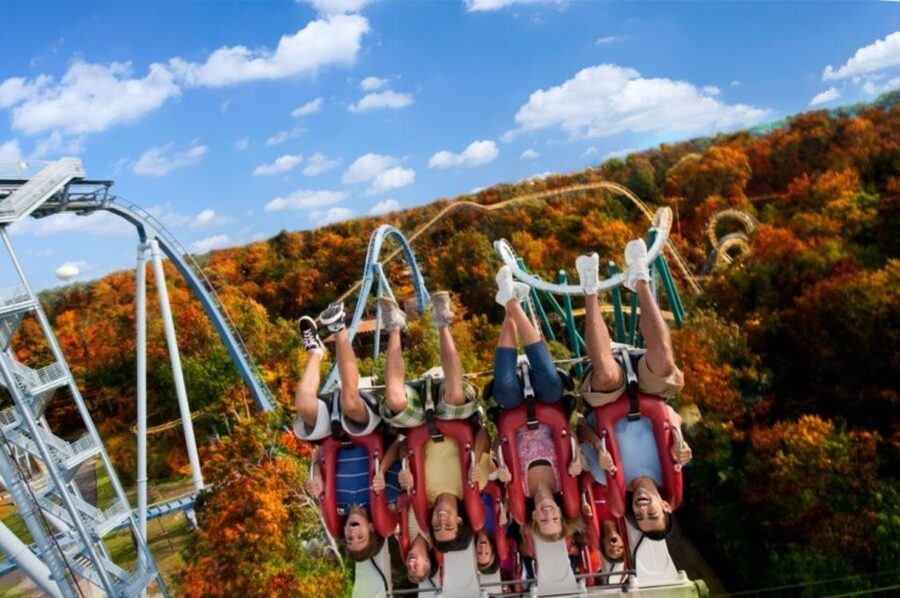 Williamsburg: Busch Gardens Ticket & Water Country Option - Animals that add meaning to the park