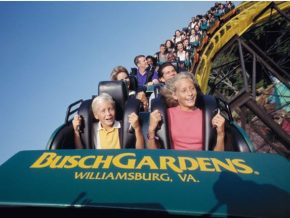 Williamsburg: Busch Gardens Ticket & Water Country Option - Who should book the Busch Gardens ticket?