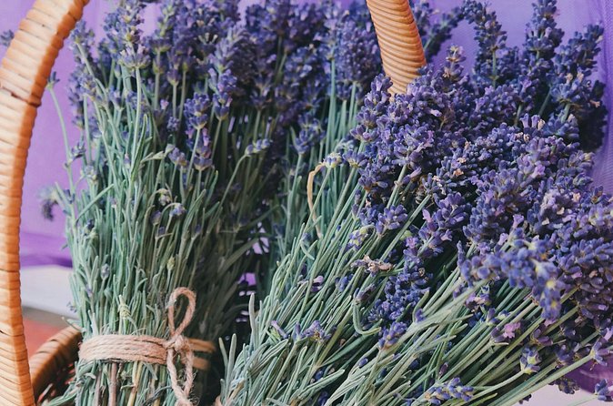Wine Tasting and lavender Farm Tours - Icewine, chocolate, and knowing when enough is enough