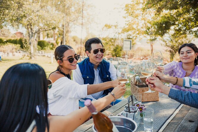 Wine tasting in private gardens overlooking the vineyards - Five wines with a regional cheese board