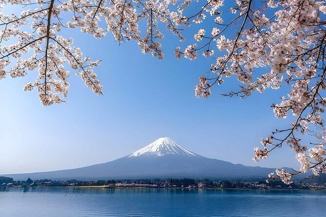 Wonderful Peaks & Peace: Mt. Fuji, Fuji Stupa & Hakone Tour - Key points at a glance