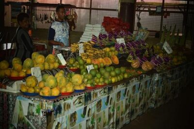 Wonders of Nadi Tour – Hindu Temple, Sleeping Giant Gardens, Markets & Shopping